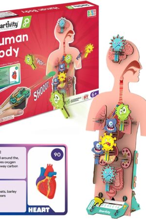 Smartivity Human Body Toy for Kids 6-12 Years | Body Organs & Functions | Best Birthday Gift for Boy